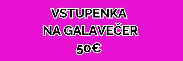 Vstup na galavečer